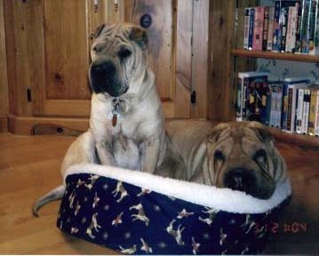 Ted & Chessy, Mansfield, Ontario